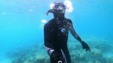 KOJA DOI _MAUMERE SNORKELING FREE DIVE AND SPEARFISHING AT FLORES ISLAND