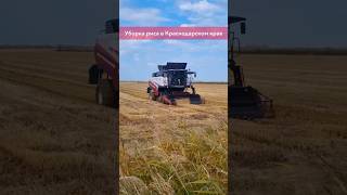 #агротехнологии #ростсельмаш #сельскоехозяйство #комбайны