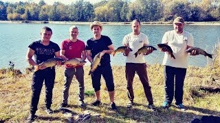 КАРПФИШИНГ.Осіння рибалка на водоймі Енко.