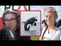 Dr ingrid visser talks about orcas