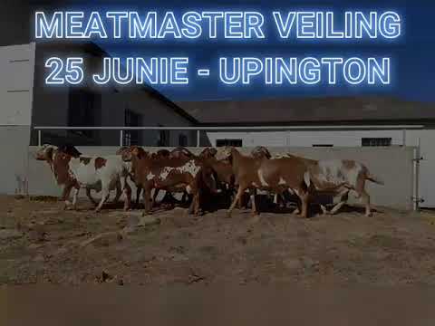 Meatmaster Upington sale