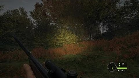 Call of the Wild: EPIC FAIL AIM