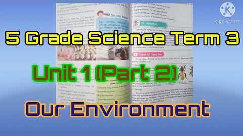 5 Grade Science Term 3 ,  Unit 1 (Part 2)