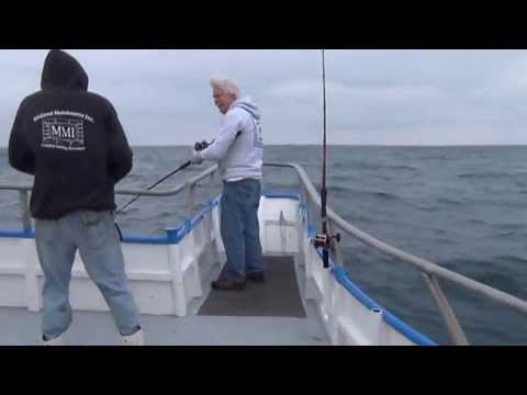 party boat deep sea fishing jacksonville fl reel animals fishing deep sea fishing party cruise j party boat deep sea fishing jacksonville fl reel animals fishing deep sea fishing party cruise j