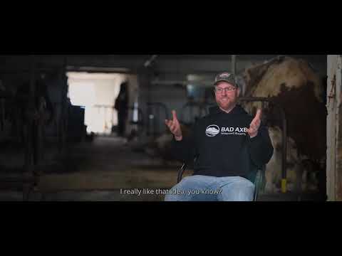 YouTube player