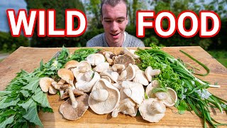 How to go Foraging for Wild Plants and Mushrooms