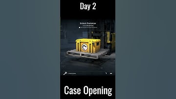 Opening CS2 Cases everyday until I get Gold #CS2 #Case #Open #Gold
