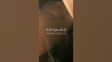 سوره مبارکه محمد، آیات ۷ تا ۹🔹️گوینده: بهروز رضوی 🔹️مترجم: مسعود ریاعی