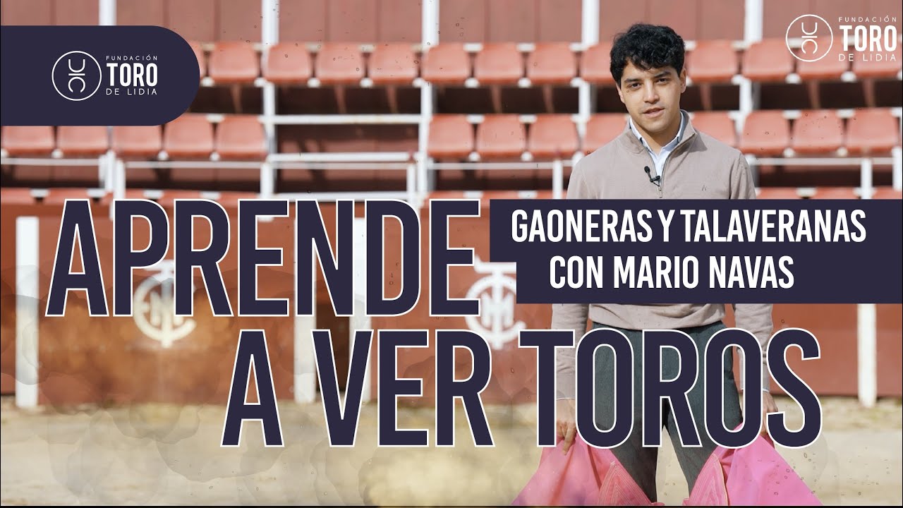 Diferencia entre gaoneras y talaveranas, con Mario Navas | APRENDE A VER TOROS