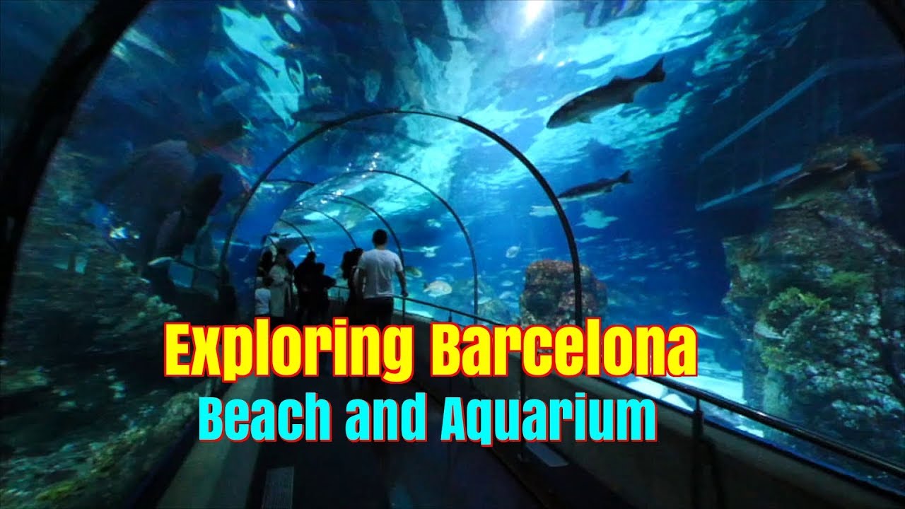 Exploring things to do in Barcelona Spain.  Beach and Aquarium.  Ep99.