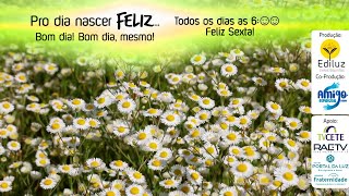 Pro dia nascer Feliz... Bom dia! Bom dia, mesmo! #357