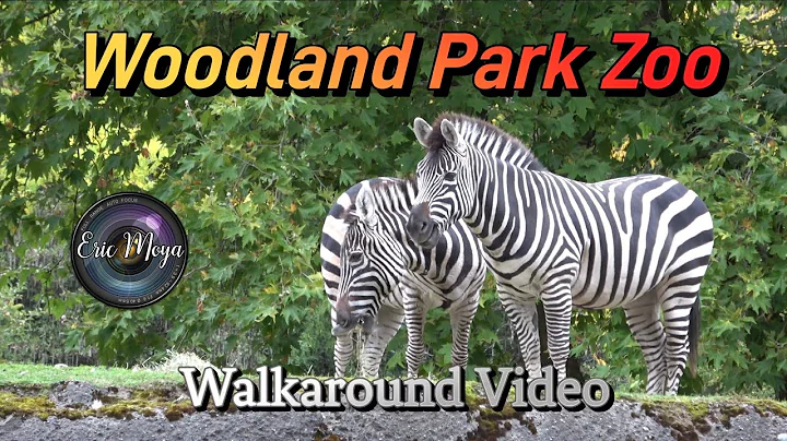 Woodland Park Zoo, Seattle, Washington 4K Walkaround Tour #zoo #safari