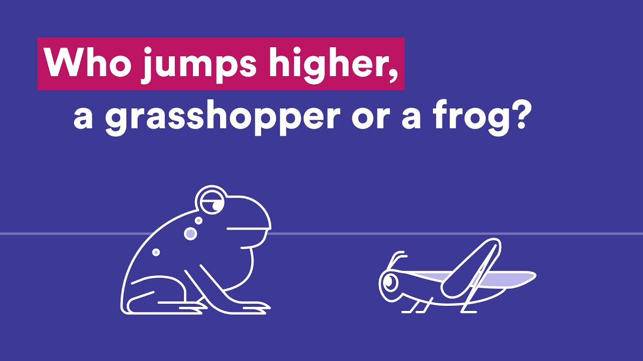 Who jumps higher, a grasshopper or a frog? | Wonder Kids | Scitech WA