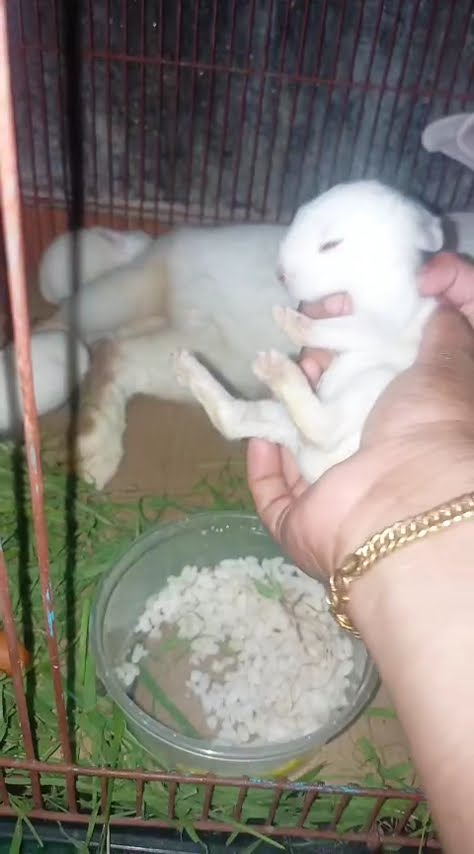 ❤ സ്നേഹം മാത്രം 🤗 - ShareChat