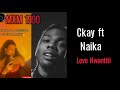 Ckay love nwantiti remix ft naika  official music  tiktok trending