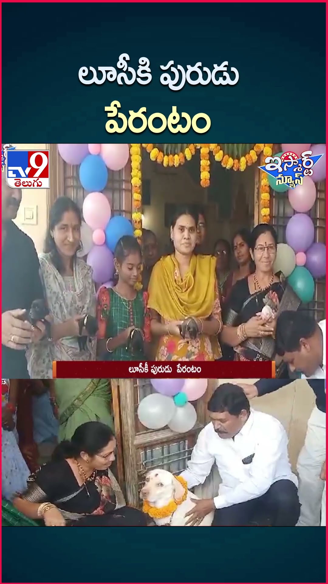 iSmart News : లూసీకి  పురుడు పేరంటం | Dog - TV9