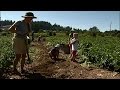 Community Supported Agriculture Work Party