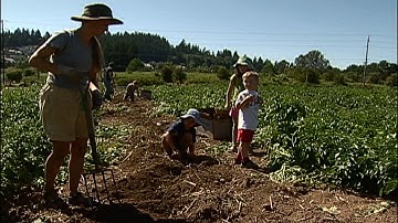 Community Supported Agriculture Work Party