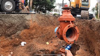 Detour Ahead!! Valve replacement