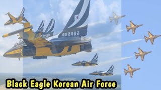 Black Eagle Korean Air Force aerobatic Team | Air Show Philippines 🇵🇭
