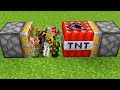 1000 eggs + tnt = ???