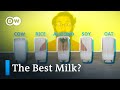 What's the most climate-friendly milk