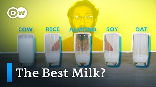 Whats The Most Climate-Friendly Milk?