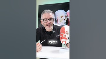 Masseter Injection Point