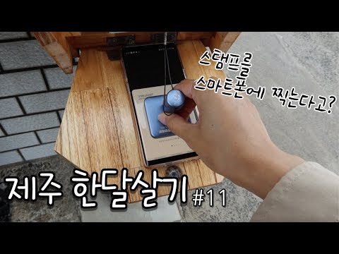 혼자 <strong>제주</strong> 한달살기🌵 EP.11 신기한 스탬프 <strong>투어</strong> (라이스 나이스/얌얌/여름 문구사/세화씨 문방구/카페477/질그랭이 거점센터)
