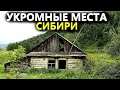 Такое не покажут по телевизору. Копал три дня находки. Коп поиск монет 2022