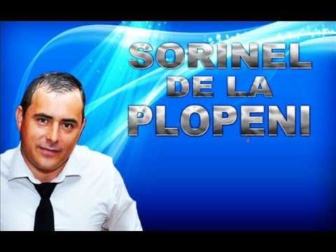 SORINEL DE LA PLOPENI LA PADURE
