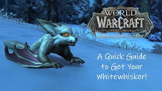 Dragonflight Battle Pets: A Quick Guide to Get Your Whitewhisker!