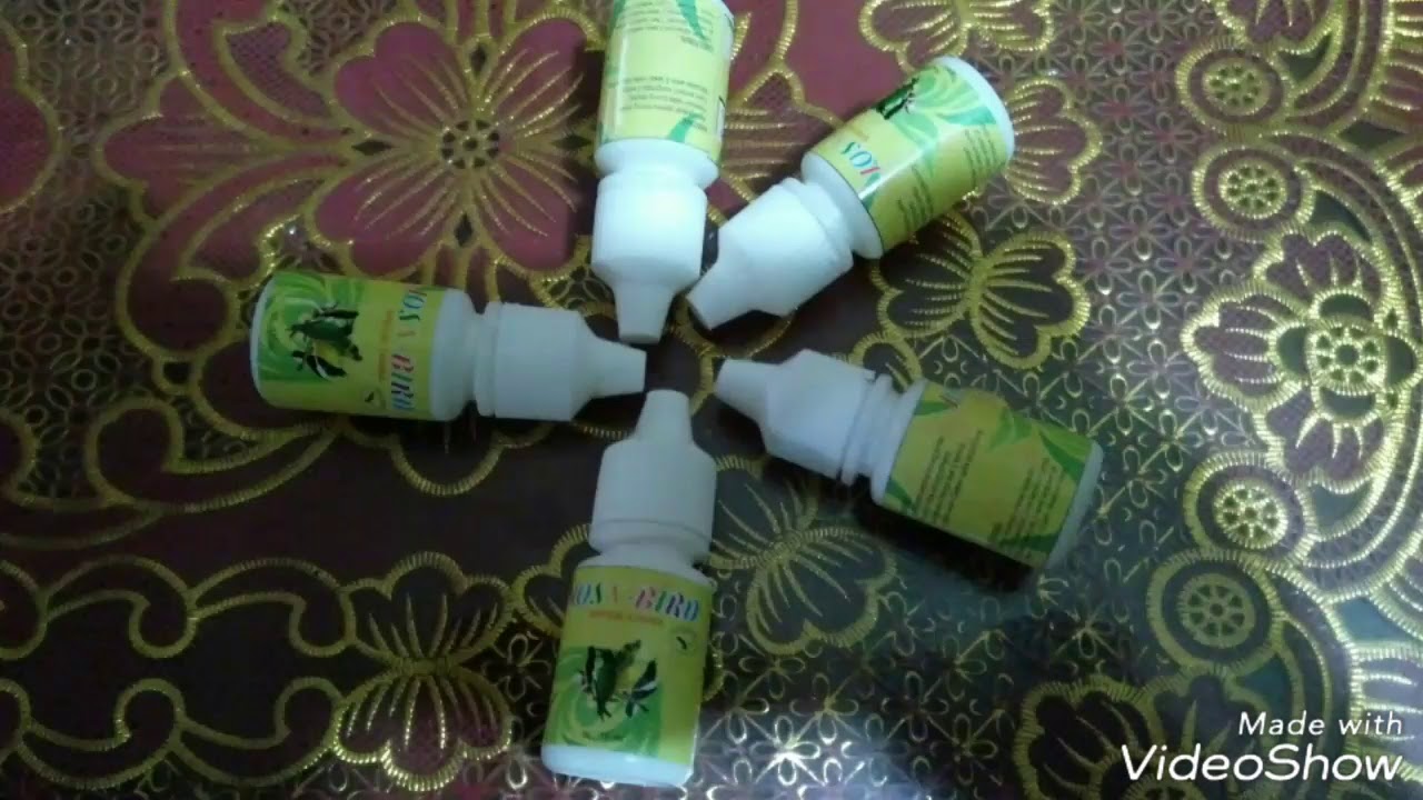 Vitamin burung paling dahsyat .. 