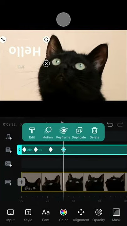 10.Key Frame Animation 丨VN Video Editor App