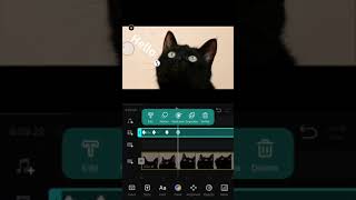 10.Key Frame Animation 丨VN Video Editor App screenshot 2