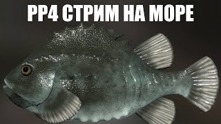 Русская Рыбалка 4 Стрим 🔴 ФАРМ - Норвежское Море