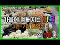 가을에 예뻐지는 다육 약 50종 |1편~7편 풀영상|SUCCULENTS| 多肉植物 |