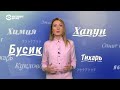 "Тихарь", "ябатьки", "химия". Новые слова, возникшие во время протестов в Беларуси