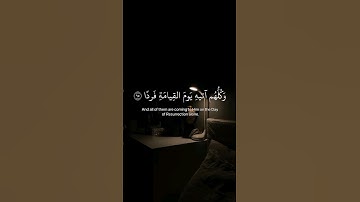 وَكُلُّهُمْ آتِيهِ يَوْمَ الْقِيَامَةِ فَرْدًا سورة مريم القارئ عبد الرحمن مسعد 🤍🥹