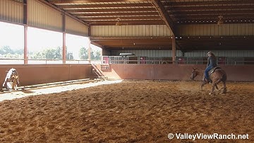 Copper Creek - working the mechanical cow #1! - ValleyViewRanch.net