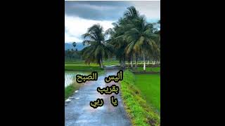 واذا سألك عبادي عني فإني قريب أجيب دعوة الداعي أذا دعاني#الشيخ #عبدالباسط_عبدالصمد