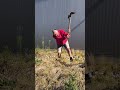 Baumchallenge die 3te