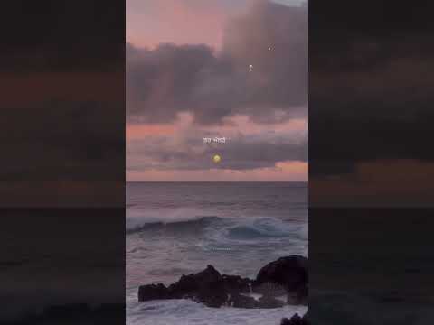 Sheh Official Audio Singga Latest Punjabi Song 2025 