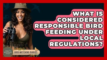 What Is Considered Responsible Bird Feeding Under Local Regulations? - Bird Watching Diaries