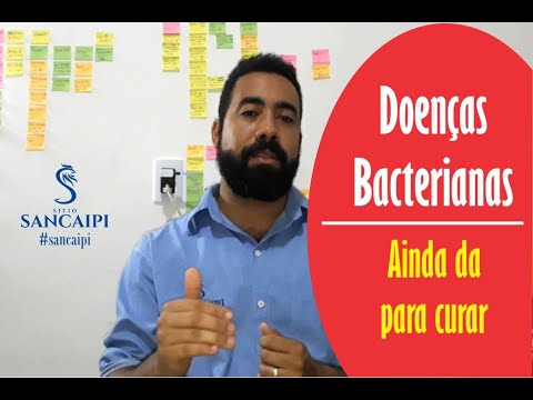 doenças causadas por BACTÉRIAS em galinha caipira | coriza infecciosa e outras