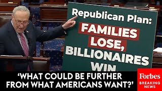 Chuck Schumer Absolutely Torches The GOP Budget Plan