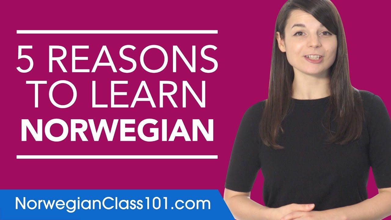 ⁣Why study Norwegian? 5 reasons to get started.