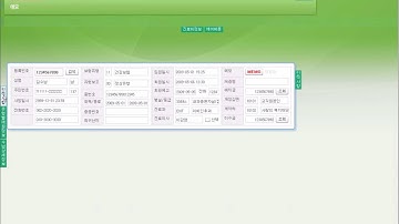 Widget Style User Interface