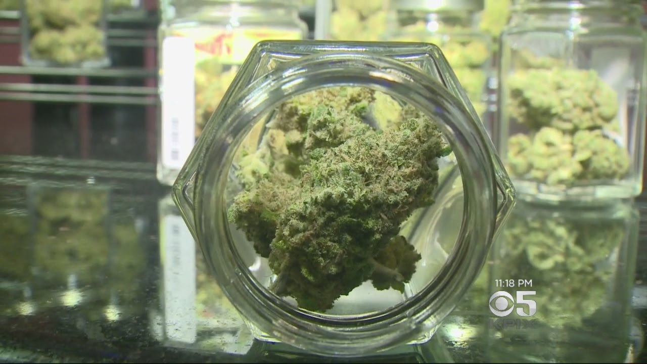 Amid Legalization, Women Fastest Growing Group Of Marijuana Users