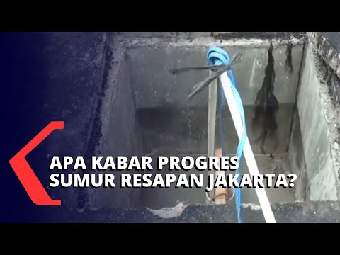 Ahmad Riza Patria Delegasikan Dinas Sumber Daya Air untuk Evaluasi Pembangunan Sumur Resapan Jakarta